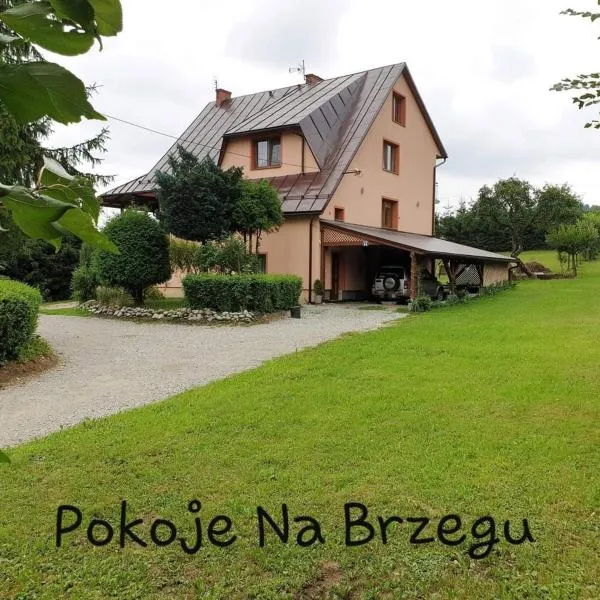 Pokoje Na Brzegu，位于涅兹卡城堡的酒店