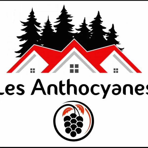 LES ANTHOCYANES，位于Pont-dʼHéry的酒店