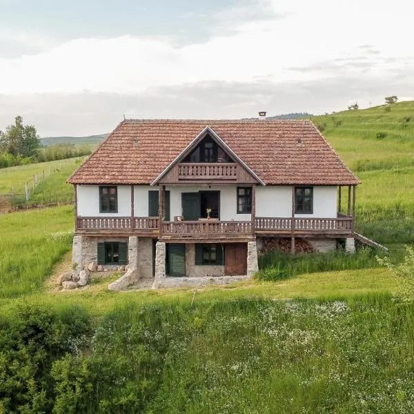 Hillside View Cottage - Csíksomlyó-panoráma vendégház，位于Valea Boroş的酒店