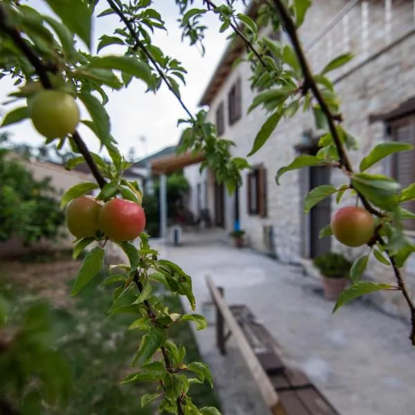 cozy house，位于Vlikhon的酒店