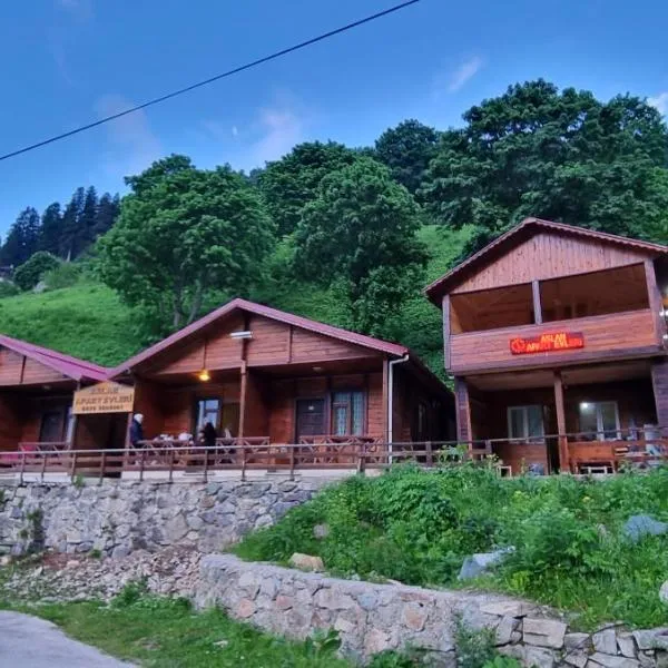 Aslan Apart Evleri，位于Meşe的酒店