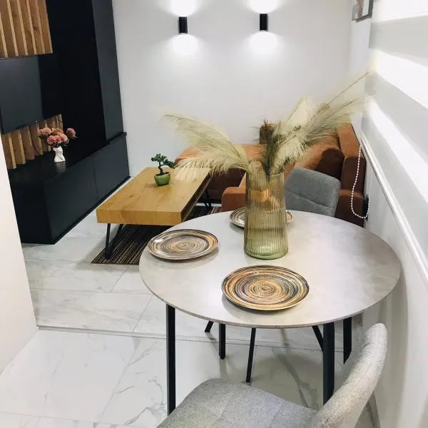 Urban Chic Studio，位于尼什的酒店