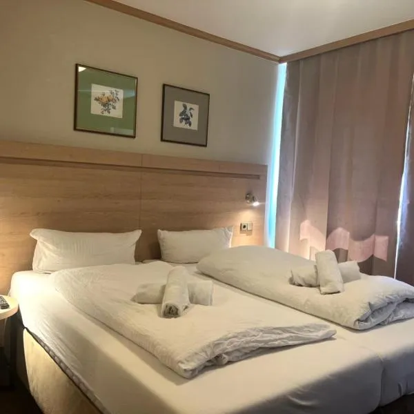 桑德豪斯阿尔特斯酒店，位于阿沙芬堡的酒店