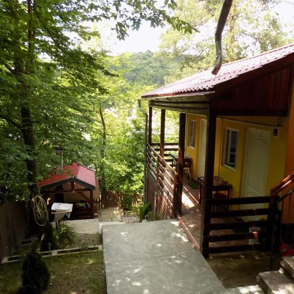 Hegyi-lak vendégház，位于普拉伊德的酒店