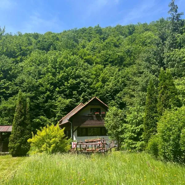 Cottage by the river Valea Draganului，位于瓦莱德拉加努鲁伊的酒店