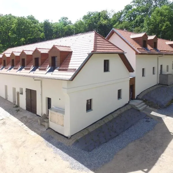 Zámek Castle Račice - Podzámčí Undercastle，位于维什科夫的酒店