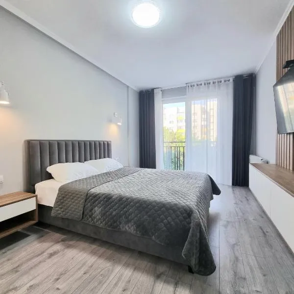Center, Albisoara str., 1bedroom and living with balcony，位于基希讷乌的酒店