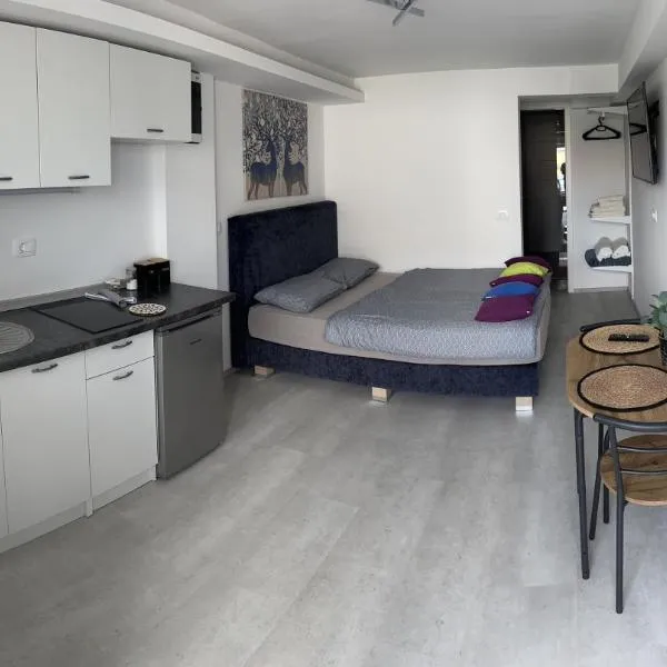 Abby Apartment Koper，位于科佩尔的酒店