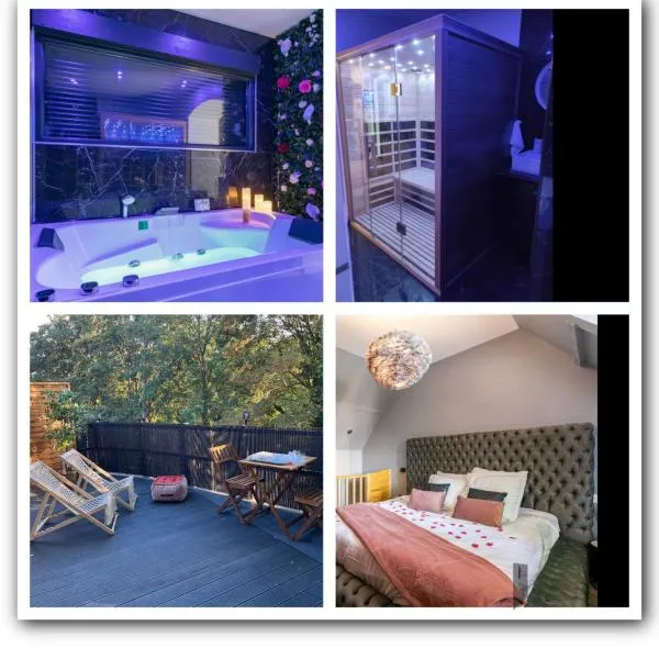 Sauna, jacuzzi, terrasse et parking，位于鲁昂的酒店