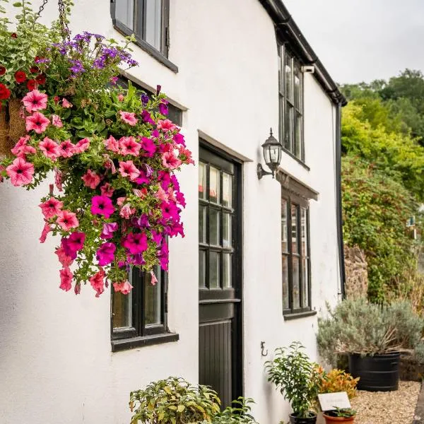 Woodview - cosy 1840s cottage in Chew Valley and Mendip AONB，位于Compton Martin的酒店