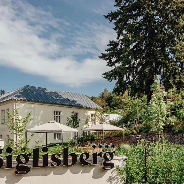 Boutique Hotel Siglisberg，位于Svätý Anton的酒店