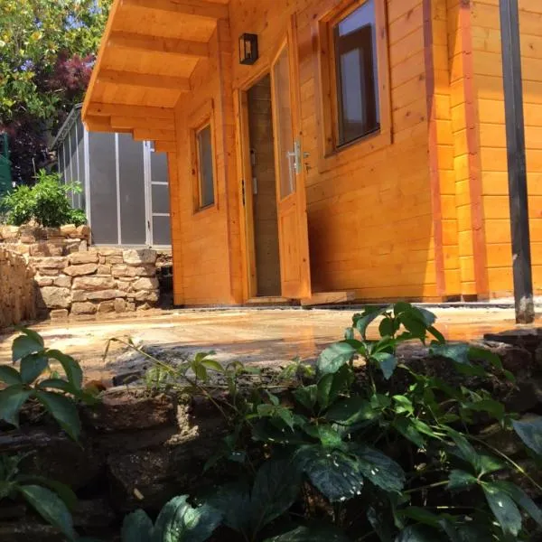 CHALET MARYVONNE，位于莱旺的酒店