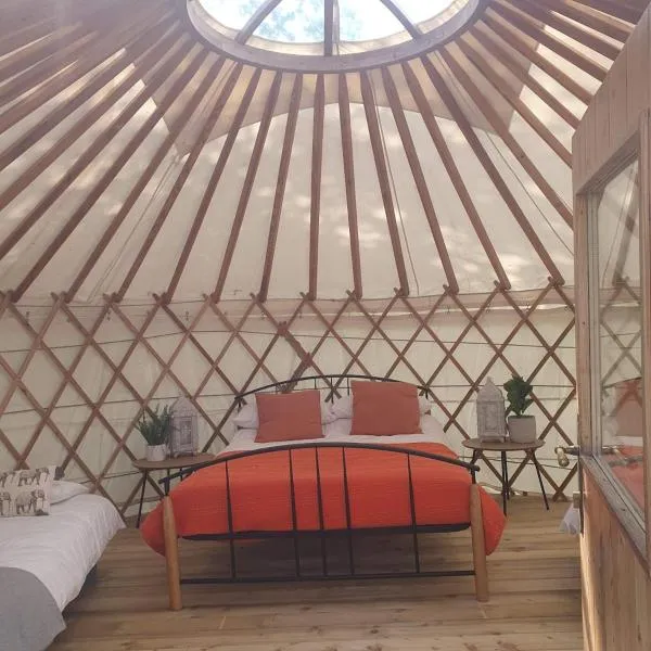 The Walled Garden Yurt，位于塔洛的酒店