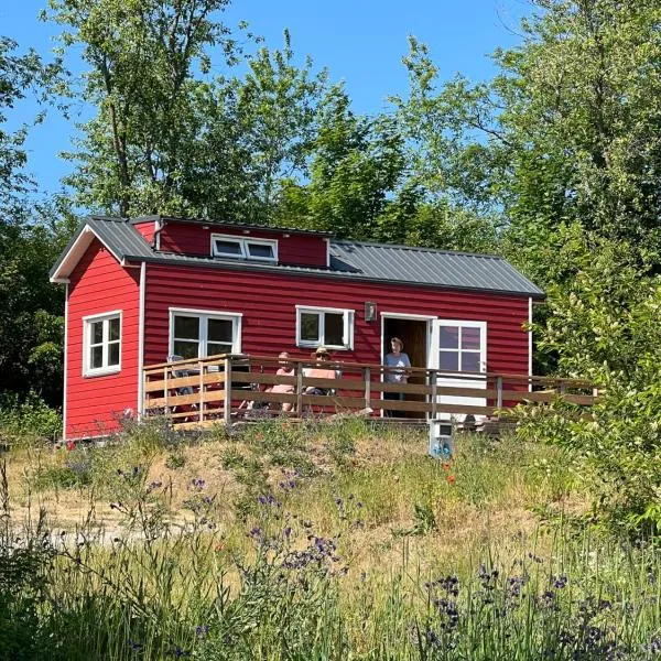 Tiny House，位于蒂索的酒店