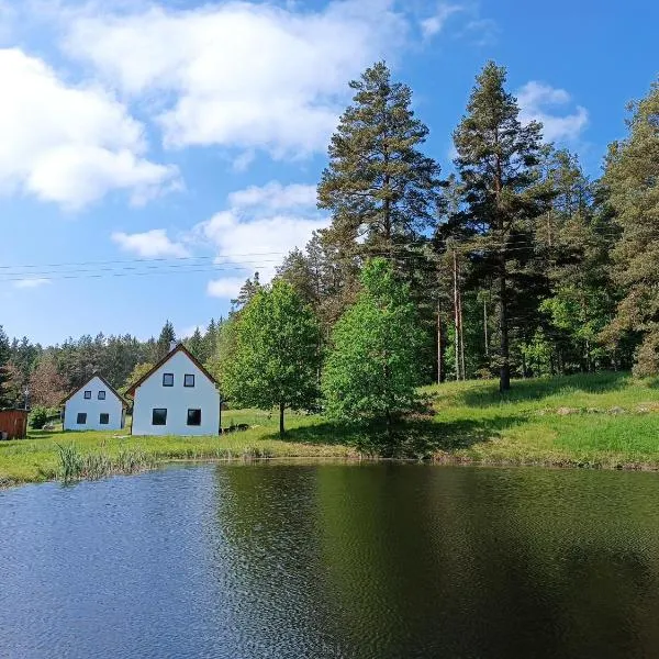 Klidná lokalita Na kraji lesa, celý dům s úschovnu kol，位于新比斯特日采的酒店