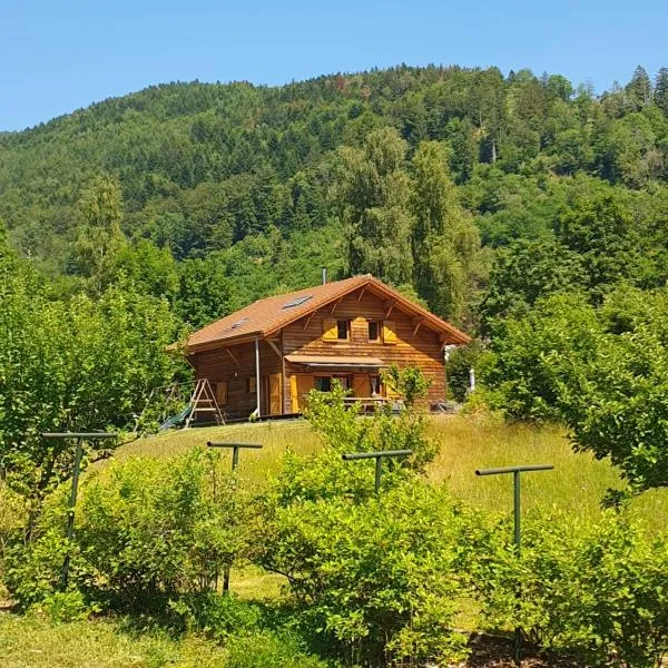 CHALET DES CHARBONNIERS AVEC ETANG，位于摩泽尔河畔圣莫里斯的酒店