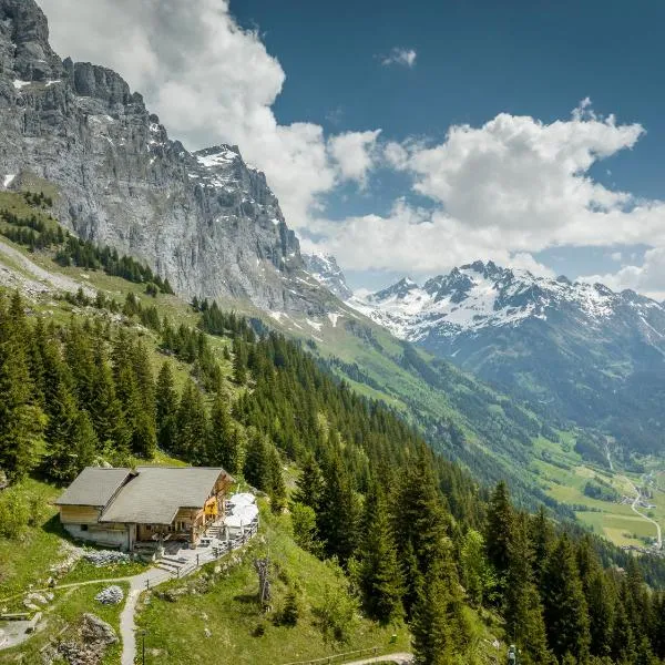 Tälli Hütte，位于Gadmen的酒店