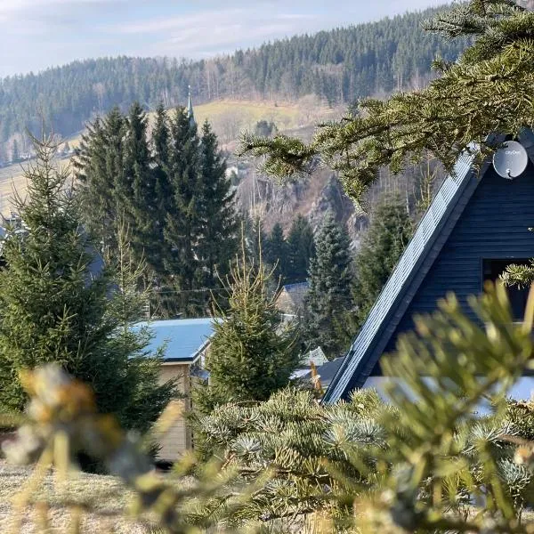 Kleines Chalet im Erzgebirge mit Sauna und Kamin，位于Rechenberg-Bienenmühle的酒店