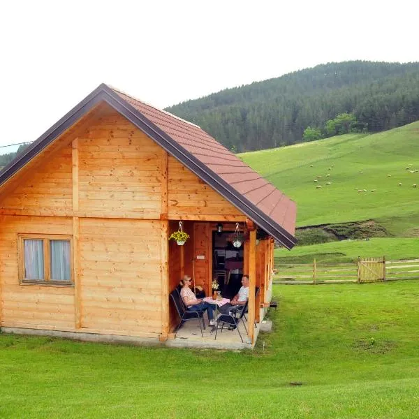 Milošev vajat - Miloš's cottage，位于Mionica的酒店