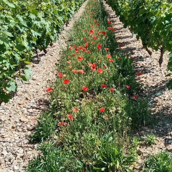 Chez mimi，位于昂斯的酒店