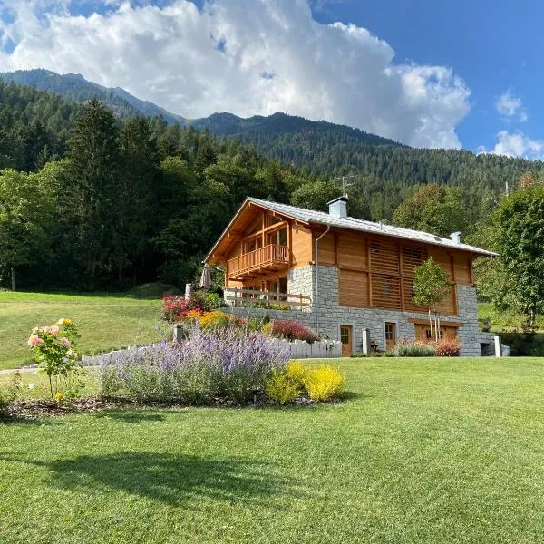 B & B Chalet Plan，位于Strembo的酒店