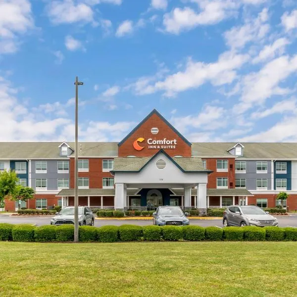 Comfort Inn & Suites Hampton near Coliseum，位于Carrollton的酒店