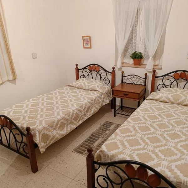 The Grapevine Guest House，位于帕福斯的酒店