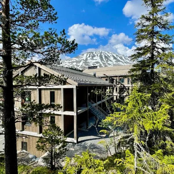 Gausta View，位于Rjukan的酒店