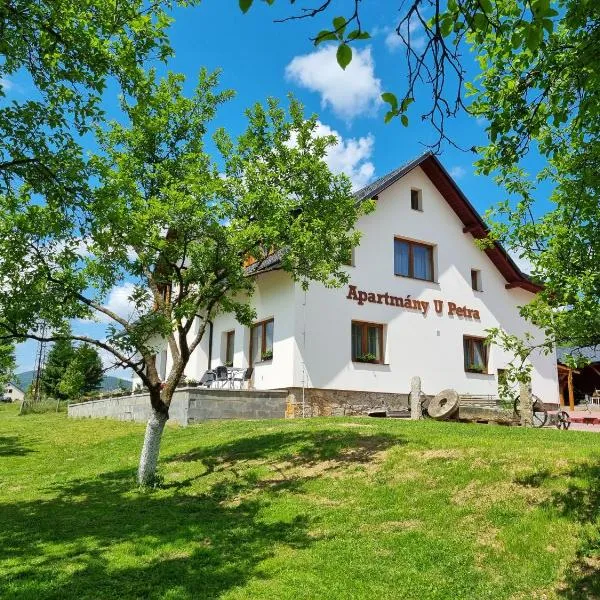 Apartmány u Petra Jeseník，位于耶塞尼克的酒店