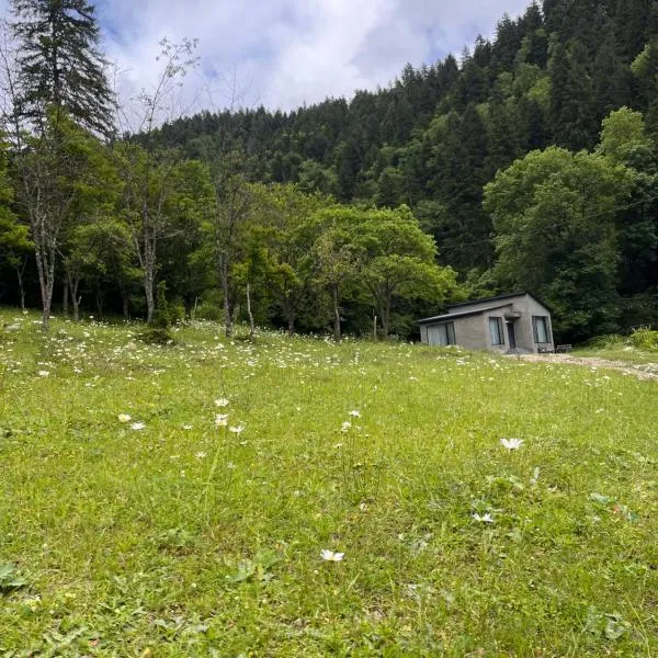 Cozy house in the forest，位于K'vabiskhevi的酒店