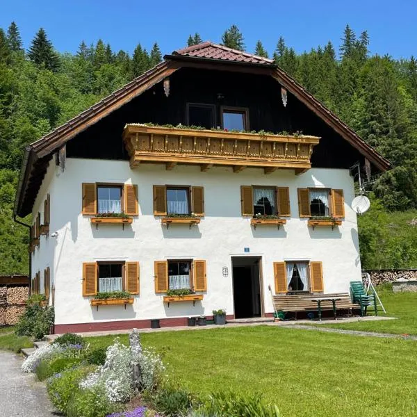 Haus Tanne Abtenau，位于阿布特瑙的酒店