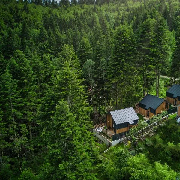 Norway Cabins - Private Terrace & Fire Pit，位于锡纳亚的酒店