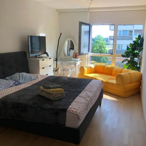 One bedroom 3pieces entire Modern Appartment close to Airport, CERN, Palexpo, public transport to the center of Geneva，位于梅兰的酒店