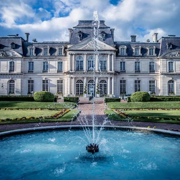 阿尔蒂尼城堡酒店，位于Artannes-sur-Indre的酒店
