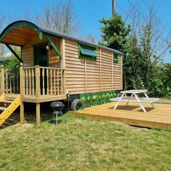 Woodie the shepherds hut - sleeps 4，位于奇切斯特的酒店