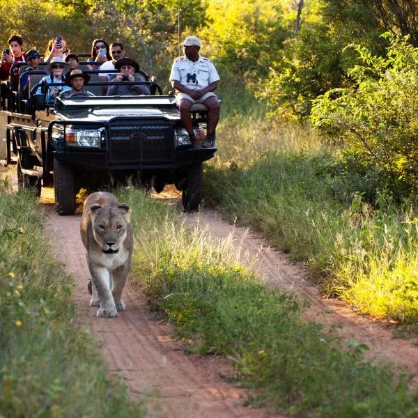 Karongwe Portfolio - Kuname Lodge，位于侯斯普瑞特的酒店