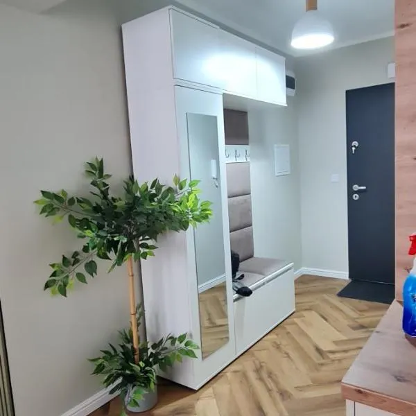 Mazovia Gold Apartament 101，位于普沃茨克的酒店