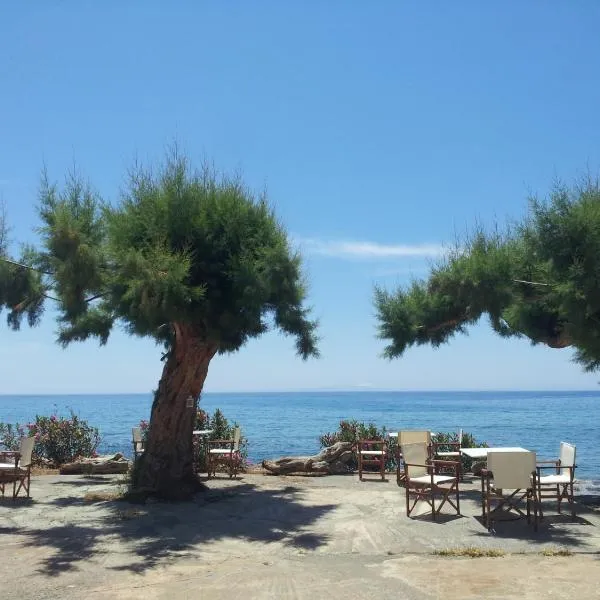 Georgoshouse Lykos beach Sfakia，位于萨夫基亚的酒店