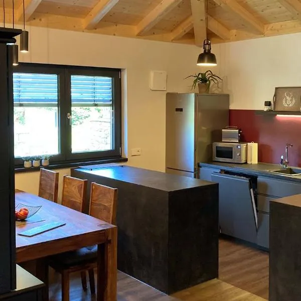 TS公寓，位于特劳恩施泰因的酒店