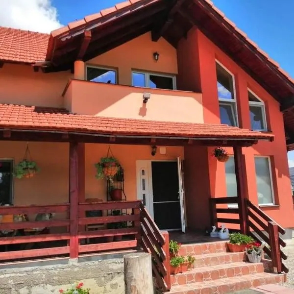 Casa Brănescu，位于Acriş的酒店