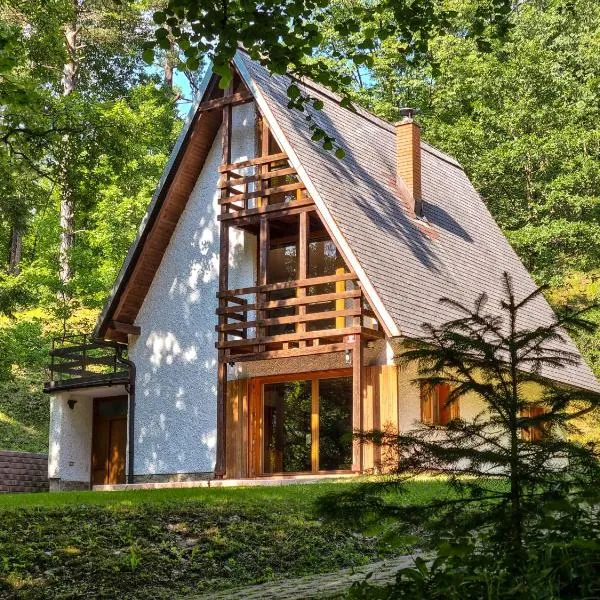 Jakob Cabin，位于博维茨的酒店