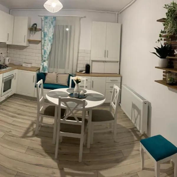 NELI HOME Apartament，位于Vălenii de Mureş的酒店