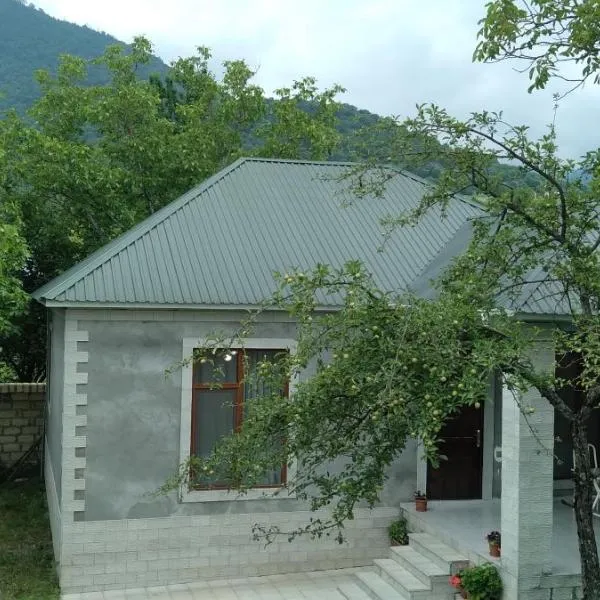 Gabala rent House，位于Mıxlıqovaq的酒店