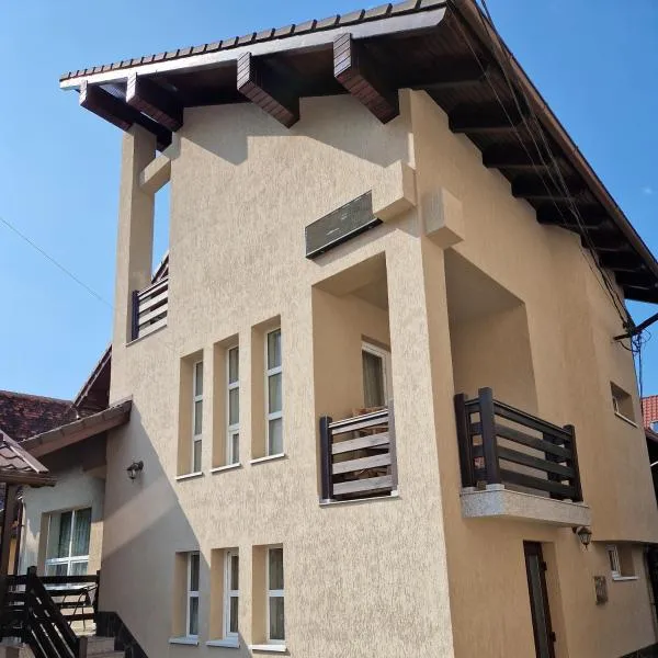 Casa Miruna & Noris，位于布朗的酒店