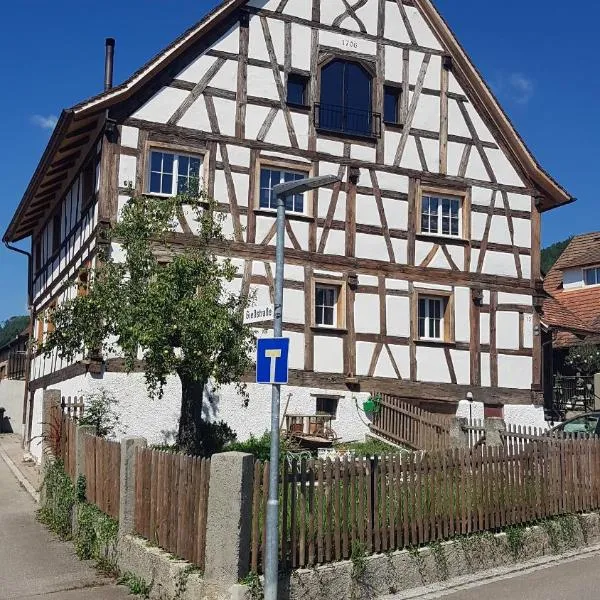 Historisches Fachwerkhaus "Hoher Hirschen" mit eigenem Hof und Garten - Charmantes, kleineres Studio und museales Apartment，位于博德曼路德维希港的酒店