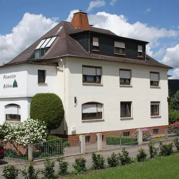 Pension Böhm，位于Seligenthal的酒店