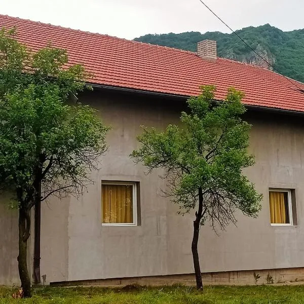 Family House بيت عائلي بجميع مواصفات الراحة，位于Višnjevo的酒店