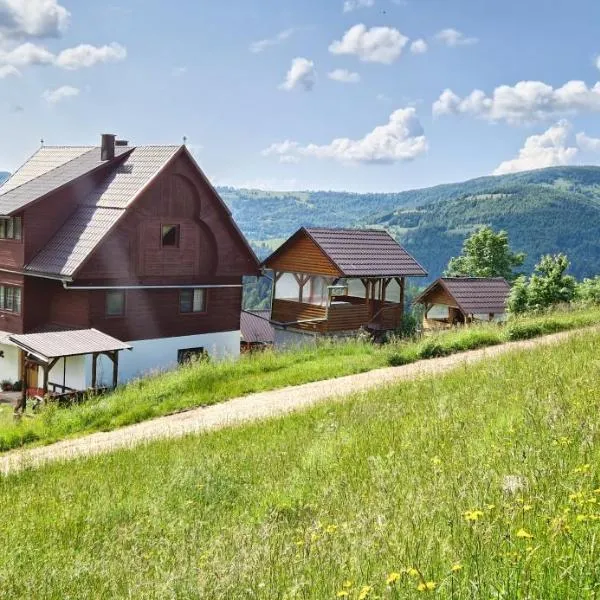 Pensiunea Amalia，位于戈尔达德苏斯的酒店