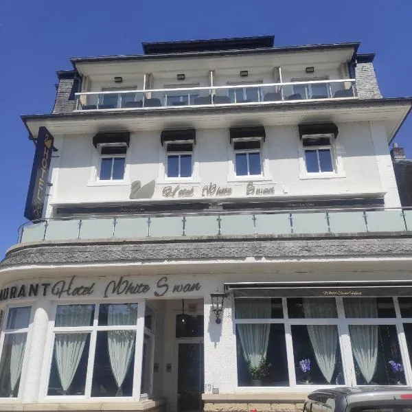 hotel whiteswan，位于格雷文马赫的酒店