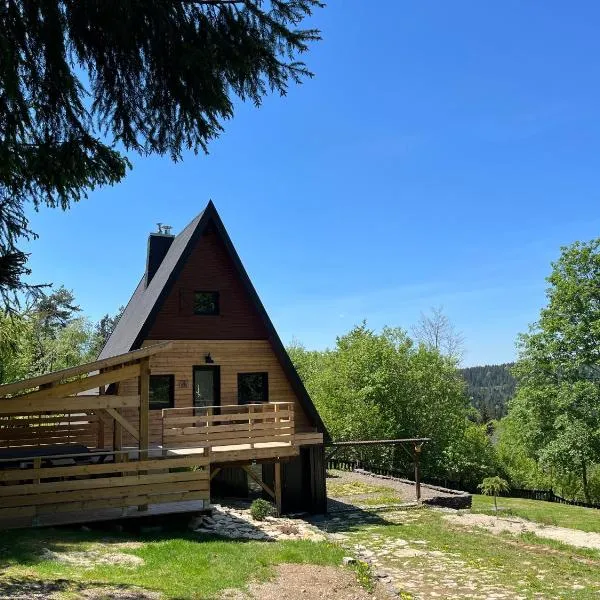 Chalet du Fayard - jacuzzi avec vue et détente en pleine nature，位于Belfahy的酒店